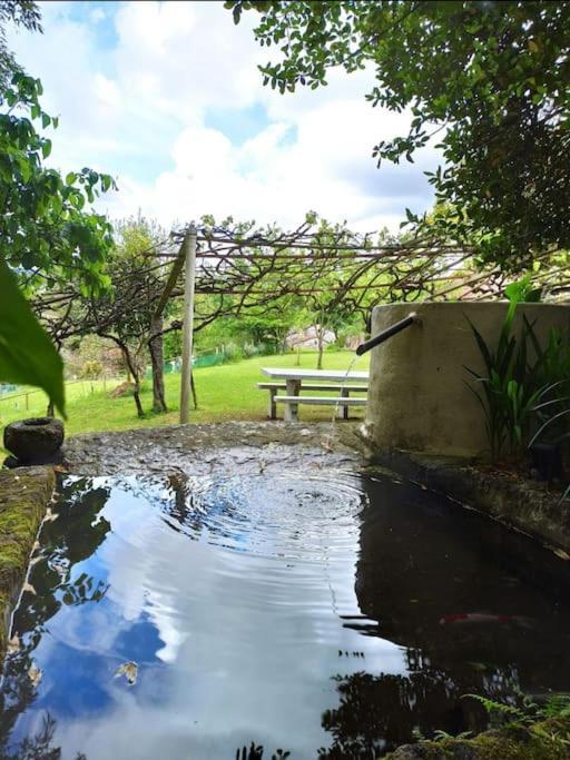 A Vina De Lina. Turismo Rural Con Piscina Y Finca. Понтеведра Екстериор снимка